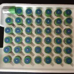 XENO 3.6v C Size XL-145F 0425 LITHIUM BATTERY